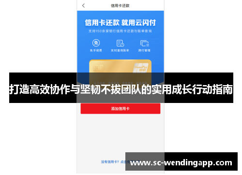 打造高效协作与坚韧不拔团队的实用成长行动指南
