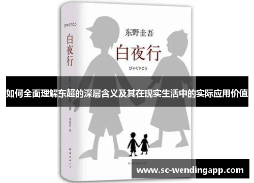 如何全面理解东超的深层含义及其在现实生活中的实际应用价值
