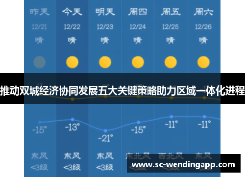 推动双城经济协同发展五大关键策略助力区域一体化进程