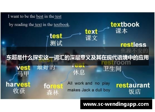 东超是什么探索这一词汇的深层意义及其在现代语境中的应用