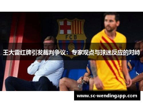 王大雷红牌引发裁判争议：专家观点与球迷反应的对峙