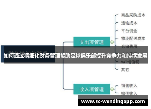 如何通过精细化财务管理帮助足球俱乐部提升竞争力和持续发展