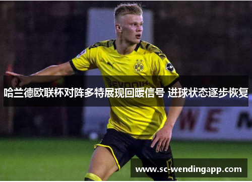 哈兰德欧联杯对阵多特展现回暖信号 进球状态逐步恢复 哈兰德欧联杯对阵多特展现回暖信号 进球状态逐步恢复