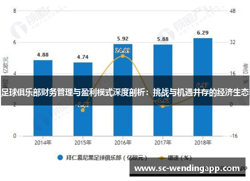 足球俱乐部财务管理与盈利模式深度剖析：挑战与机遇并存的经济生态
