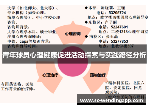 青年球员心理健康促进活动探索与实践路径分析